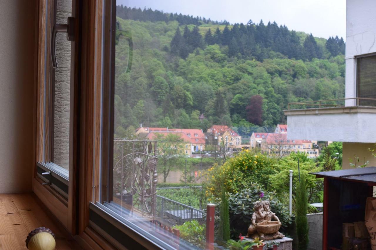 Nichtraucherferienwohnung-Neckarblick Ze-2022-74-Wz-118A Heidelberg Exterior foto